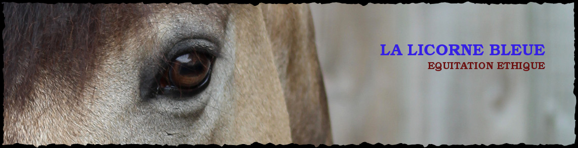 LA LICORNE BLEUE